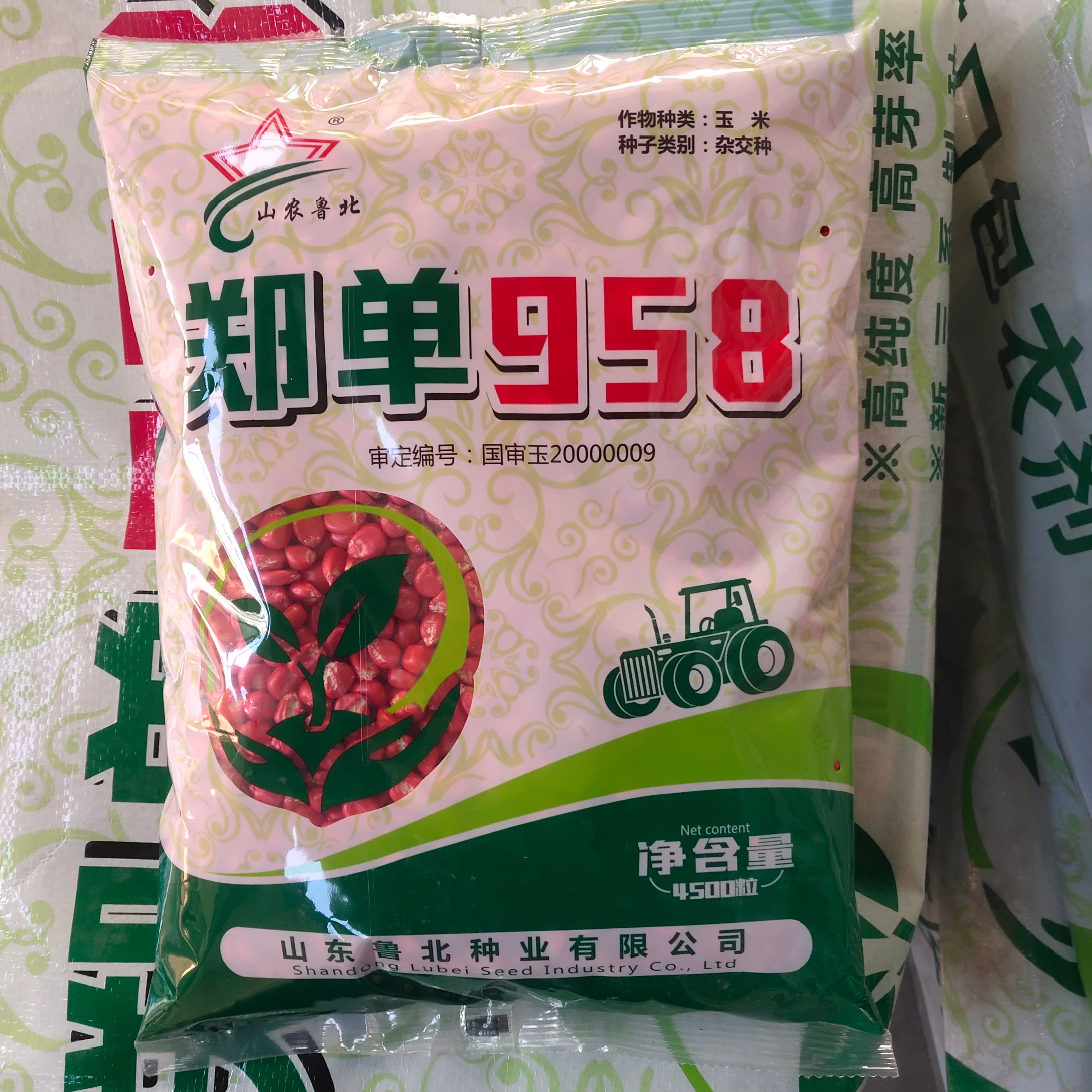 新三系郑单958玉米种子 鲁北种业直销 国审品种 高产稳产