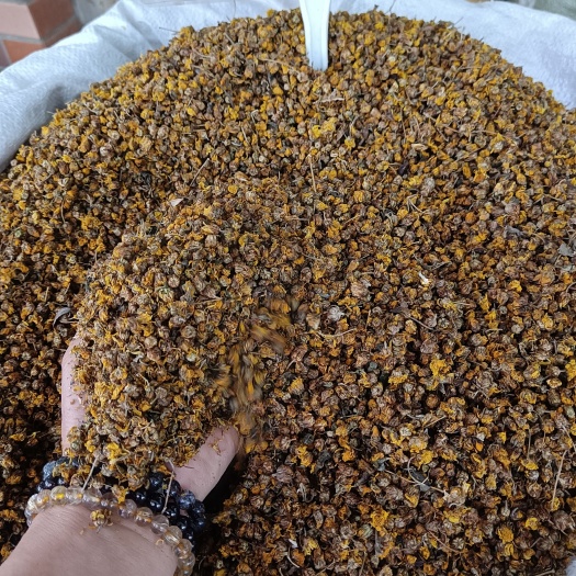 玉林统货的也菊花茶量大从优野菊花来一杯