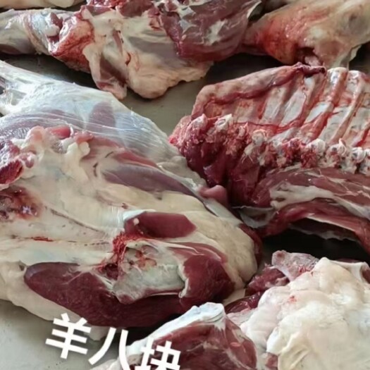 包头羊排 内蒙古牧区草地牛羊肉
