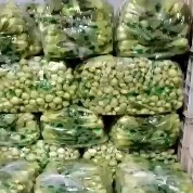 太和县太和县上海青种植基地，这里有精品菜通货食品厂菜等，质量优良