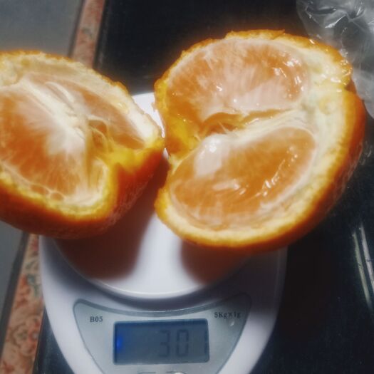 仁寿县青见柑桔 青见肉橙红，细嫩，水多糖度12-15左右，高糖微酸