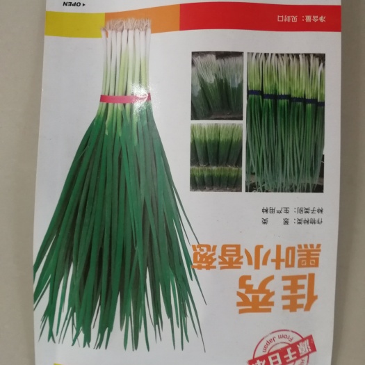 外运香葱种子