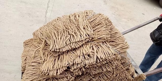 岷县白条党参 高原山区种植，高品质无硫磺 精选 甘肃岷县，党参