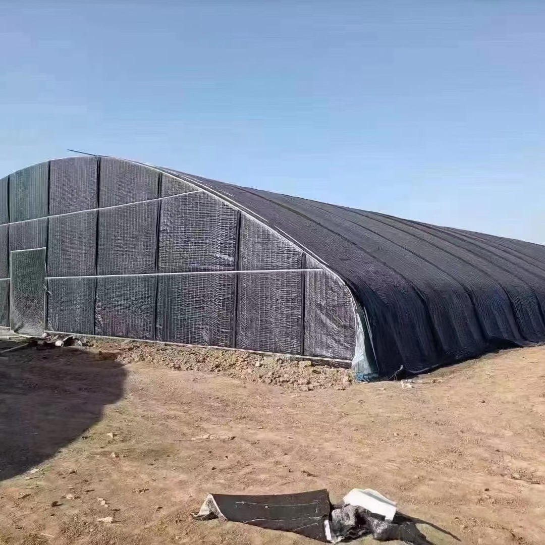 种植大棚土墙暖棚一期项目完工已经种植上草莓