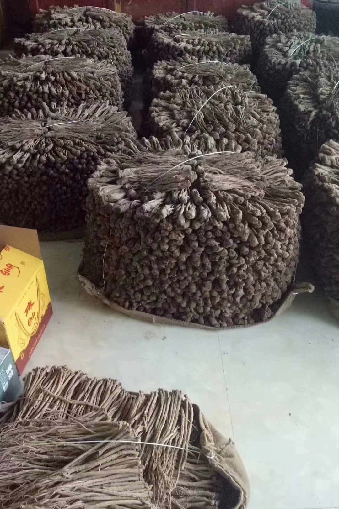  高原山区种植，高品质无硫磺 精选 甘肃岷县，当归，当归片