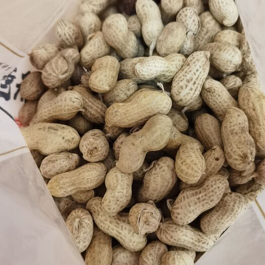东莞市花生米 陈皮花生