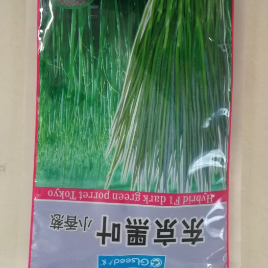 小香葱种子  黑叶小香葱