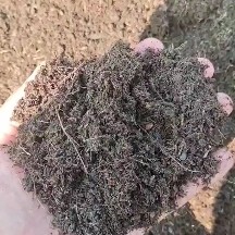 泥炭土花卉园林绿化工程盆栽栽培基质营养土批发