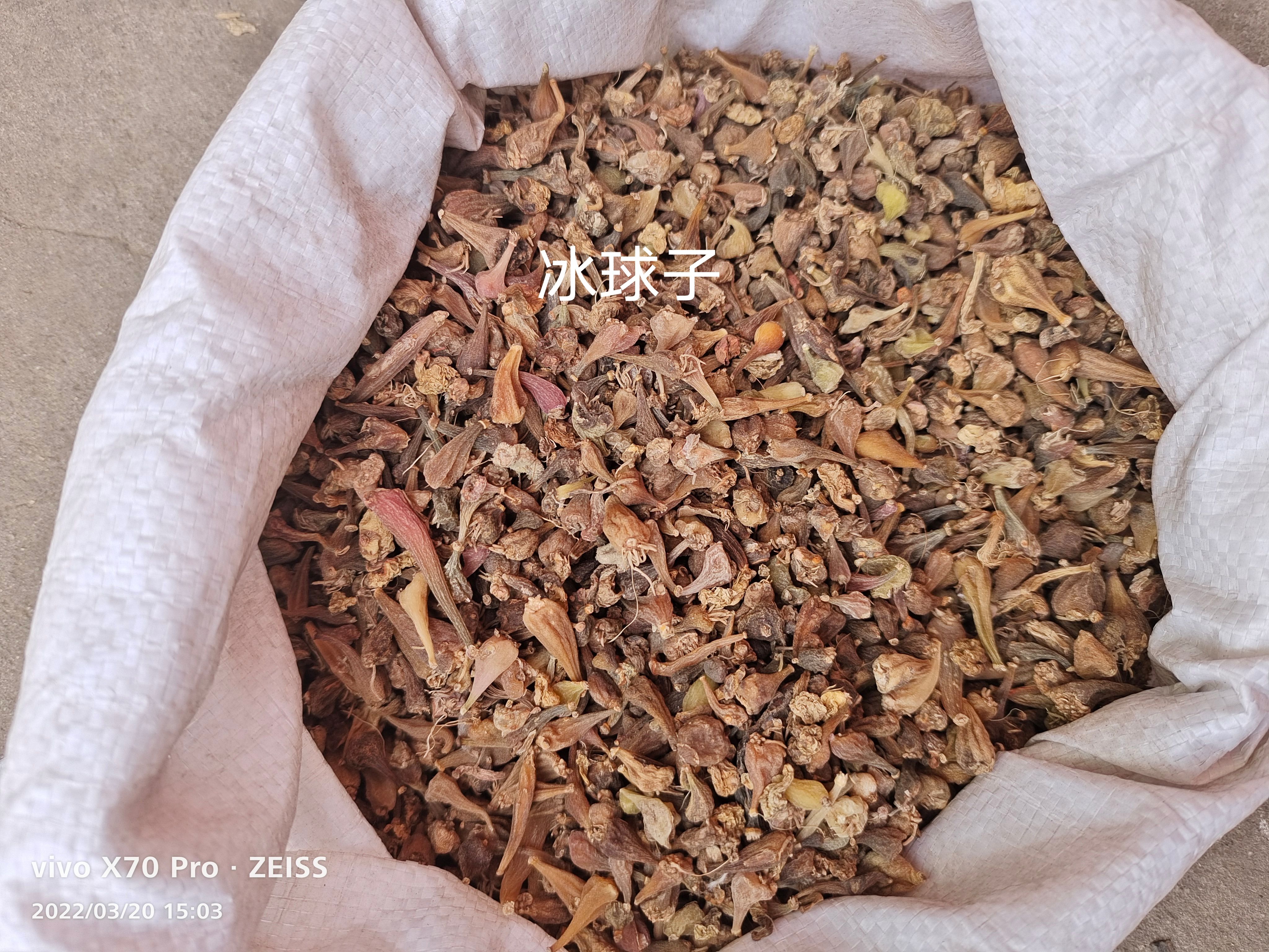 山慈菇 国产好通货 选货各种规格