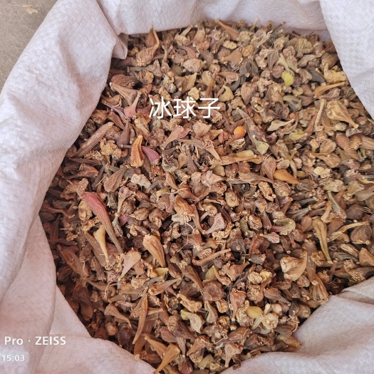 山慈菇 国产好通货 选货各种规格