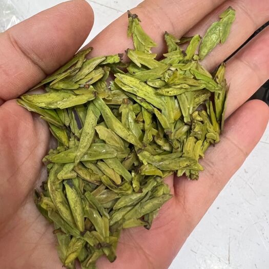 乐山毛尖茶 厂家直销茶叶，四川峨眉，雅安蒙顶绿茶