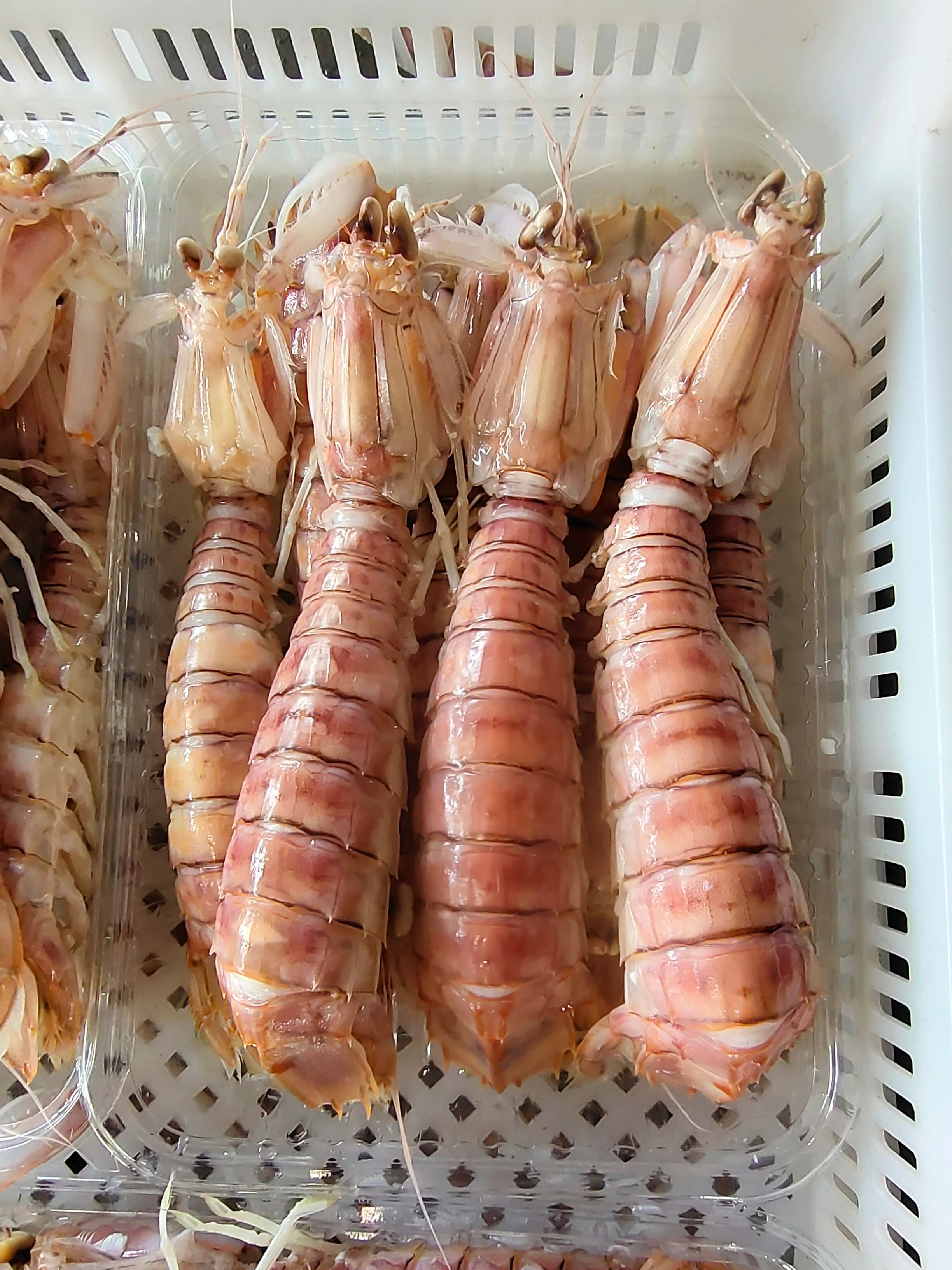 皮皮虾/爬爬虾/赖尿虾/虾姑，活煮速冻  椒盐皮皮虾