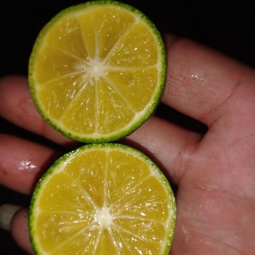  本人今年有二十吨青柠檬和十吨莱姆柠檬