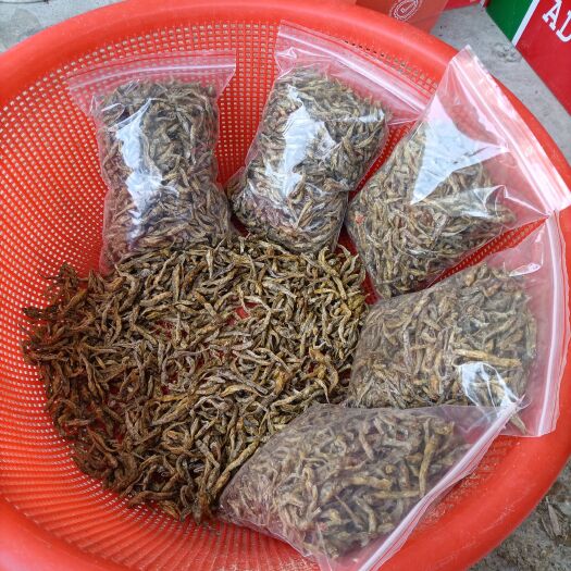 隆林县沙丁鱼干 小鱼干