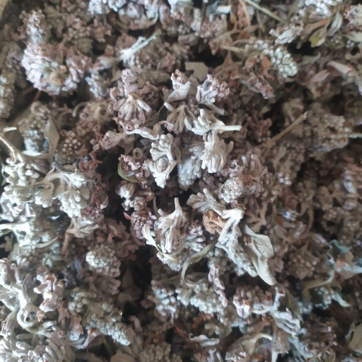 平利县 密蒙花前期无杆货，低价出售