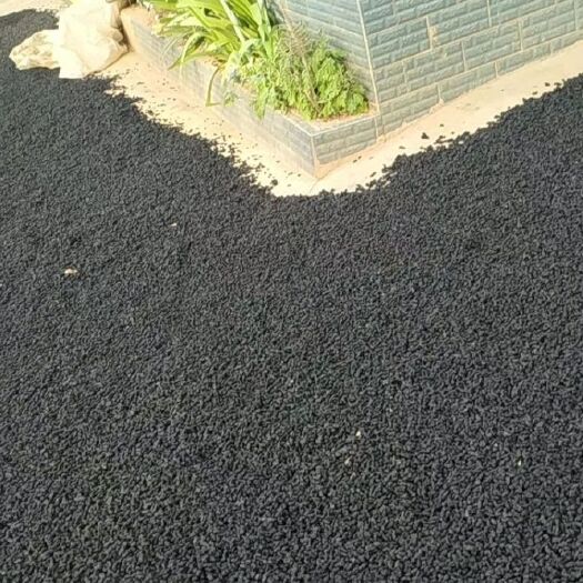 盐边县攀枝花桑葚干