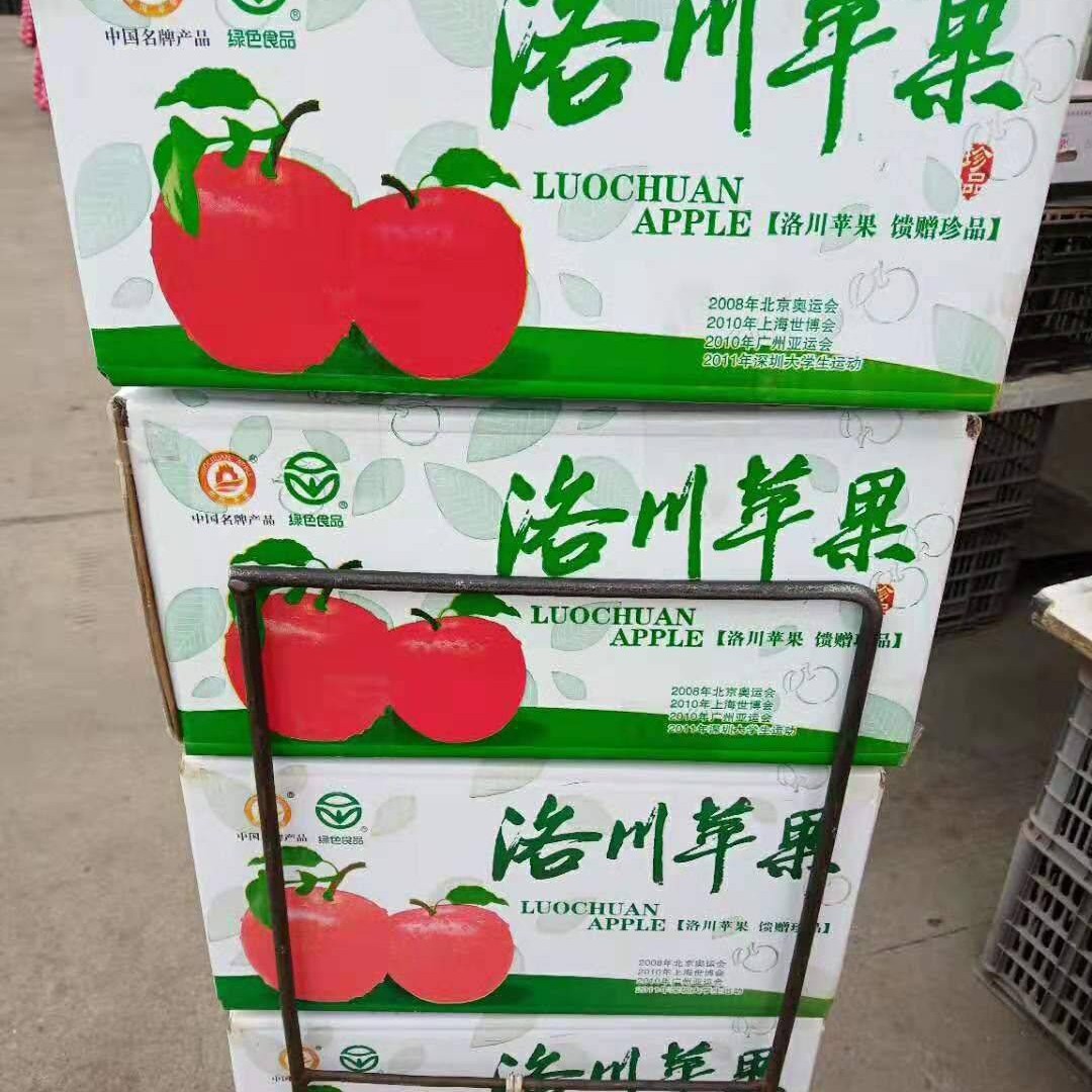 洛川縣紅富士蘋果陜西洛川二等果口感好產地直發蘋果新鮮當季包郵水果