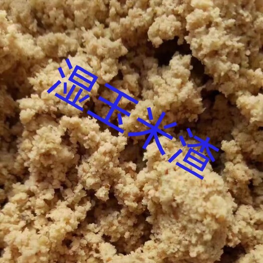 正定县 湿玉米渣