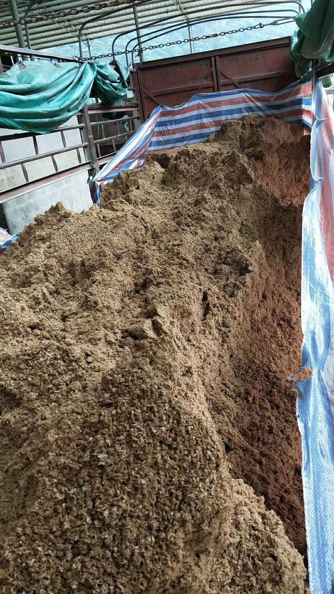 糟渣类饲料 豆渣、豆奶渣、啤酒糟、发酵豆渣。需要提前预订！