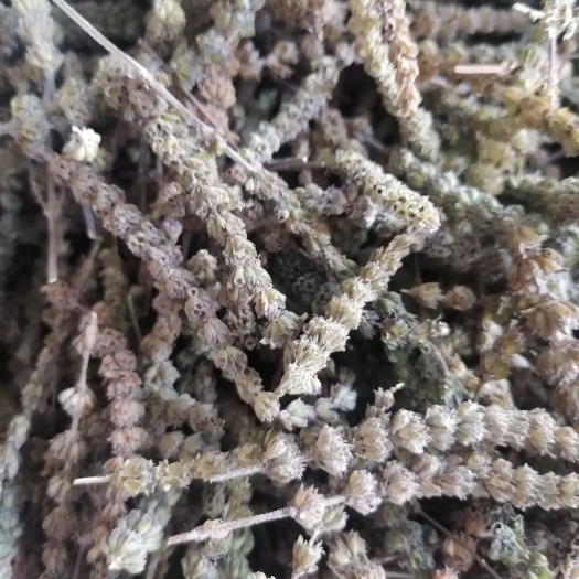 安国市荆芥穗，荆芥，沫，兽药