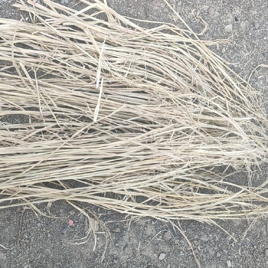 天津稻草 治沙大包长草每包400公斤左右