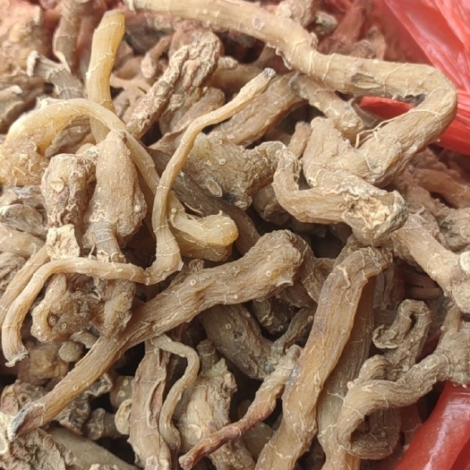 留坝县鸡头黄精 黄精，药食两用、干品黄精\鲜品黄精，产地陕西汉中