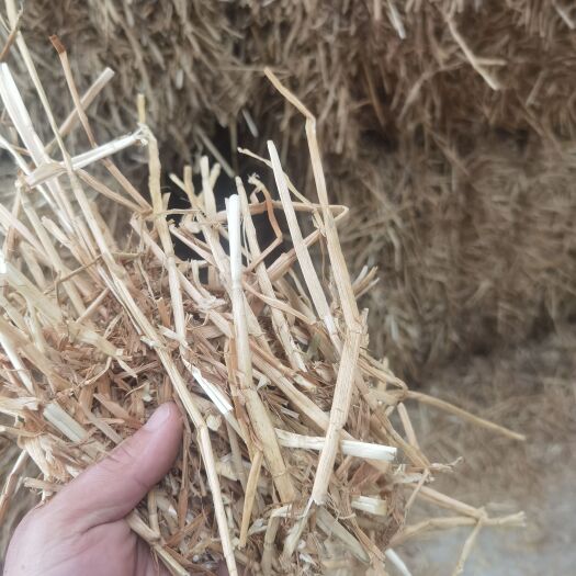 舞钢市小麦秸秆 牛羊草料