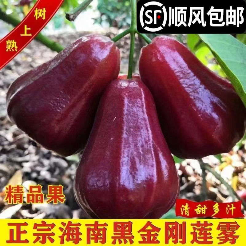 ǺϺڽ5ȴز1
