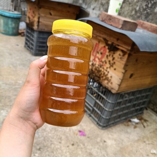 高州市新垌高良深山土蜂蜜（冬蜜）