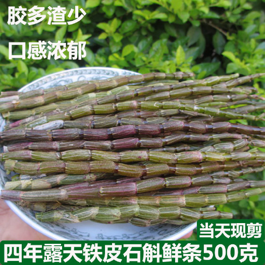 深山铁皮石斛新鲜深山铁皮石斛鲜条干条制作珍虫虎牙泡水可帮磨粉