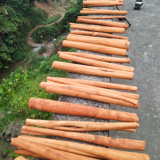 岑溪市普通桂皮 黄通桂皮，刮皮通，36～40公分长度