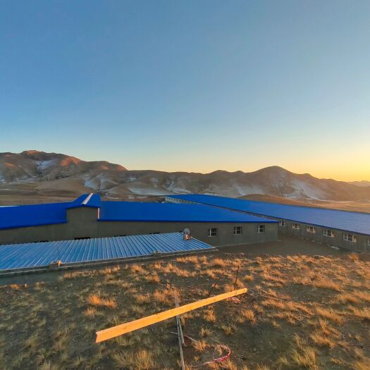 乌前旗畜牧养殖用地 养猪场出售