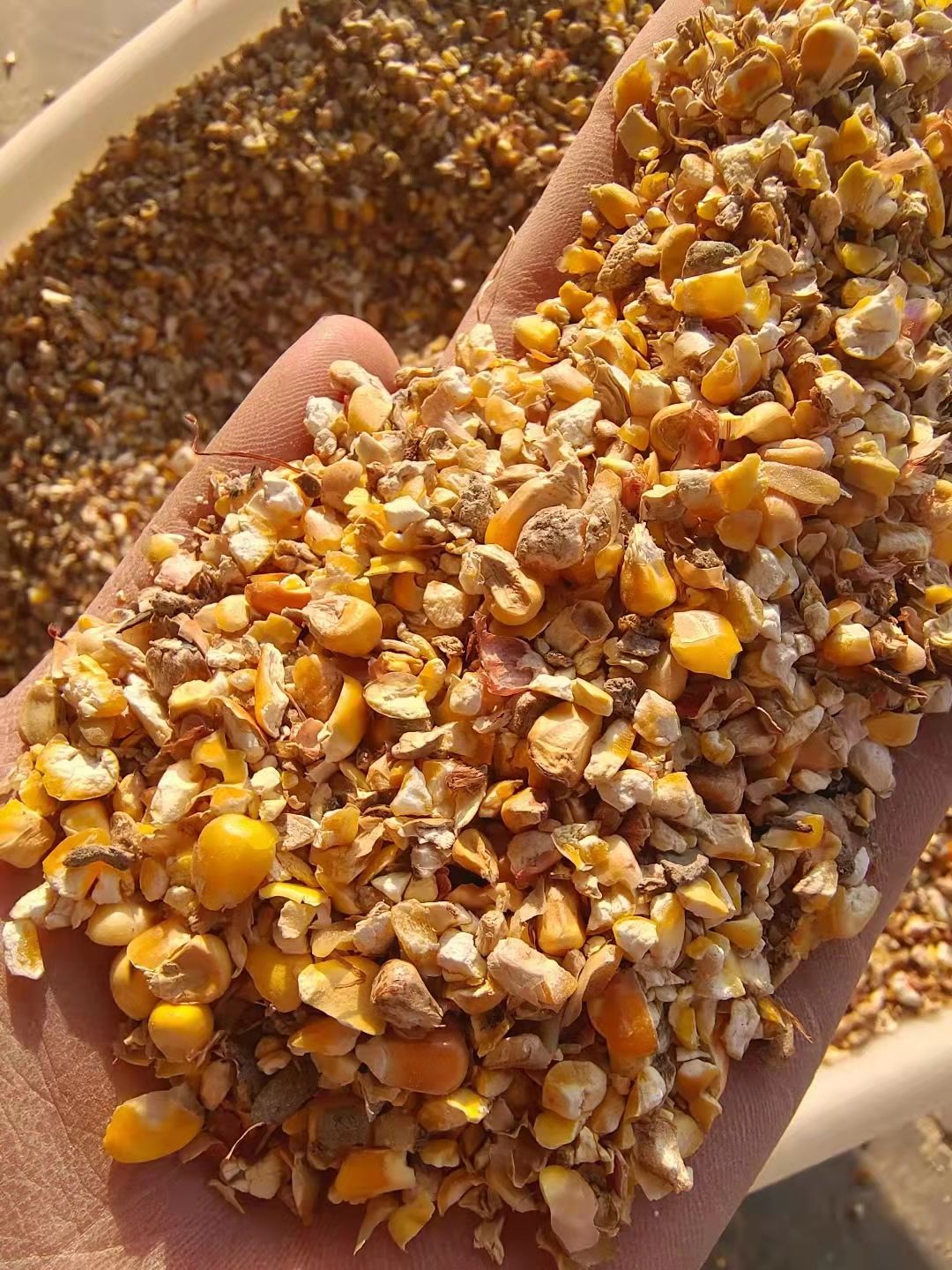 郓城县禾谷饲料 常年出售碎玉米，碎小麦，鸡鸭鹅猪牛羊饲料。