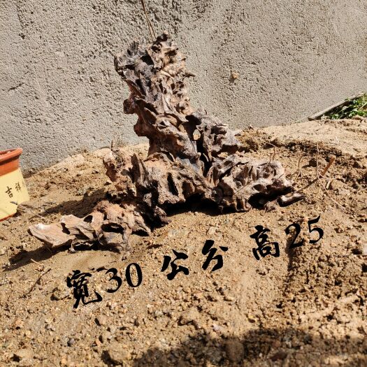 南召县黄荆桩 黄荆舍利镂空老桩