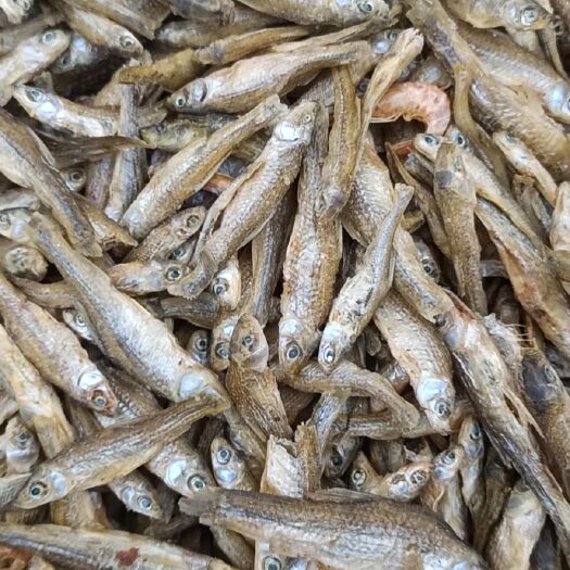 沭阳县麦穗鱼干  天然淡水麦穗鱼3～6cm大小中等。