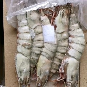 基围虾  天然大海虾，特大老虎虾，大鬼虾，草虾，
