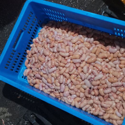 南宁鸡腰子 公鸡蛋批发。零售！