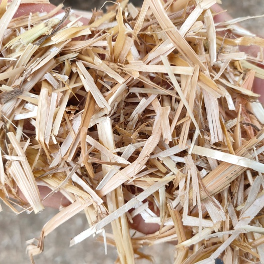 正阳县干草 、小麦秸秆、牛草、秸秆饲料