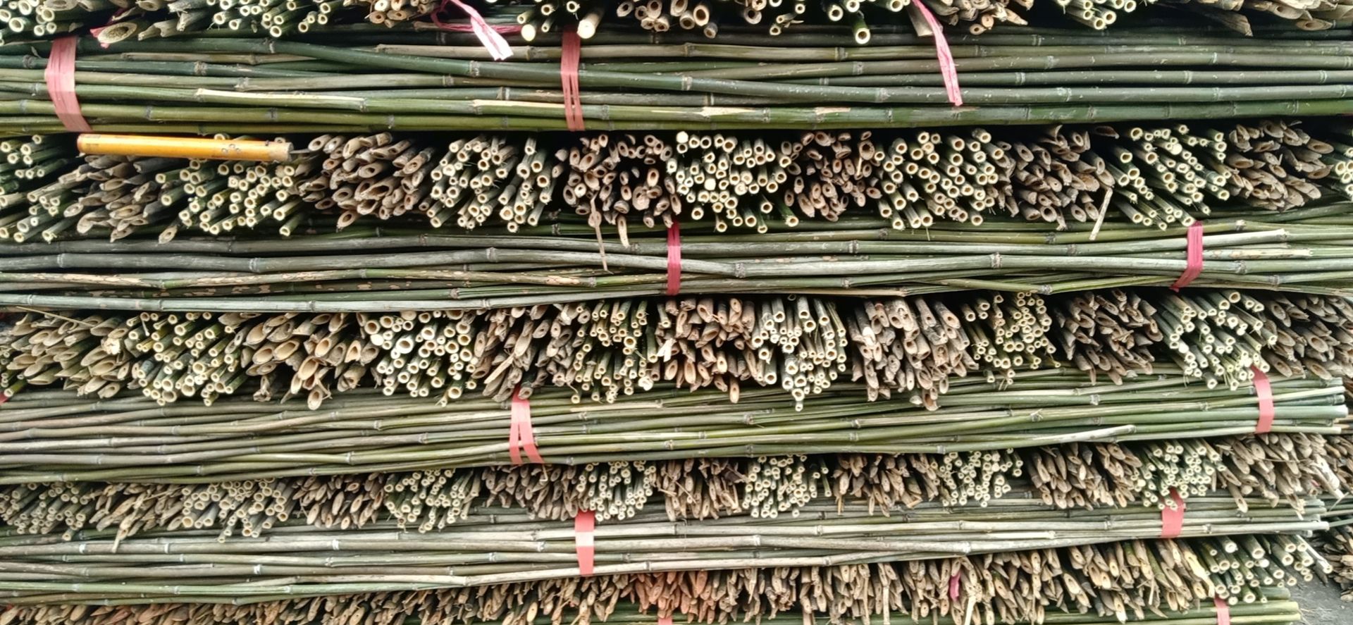 湖南诚信竹木从事竹竿，菜架竹，竹架板，竹片批发行业15年，
