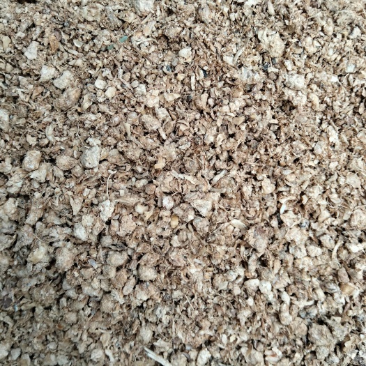 汶上县食用菌渣 工厂瓶栽金针菇菌渣