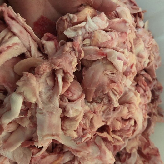 青州市牛筋 牛棒骨筋。筋头巴脑，有筋有肉。