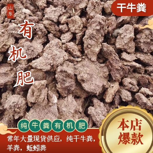梁山县干牛粪，纯肉牛粪，自然晾干