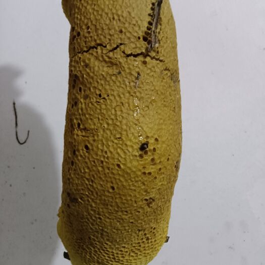 崇左蜂蜜 小挂蜜。冬蜜。
