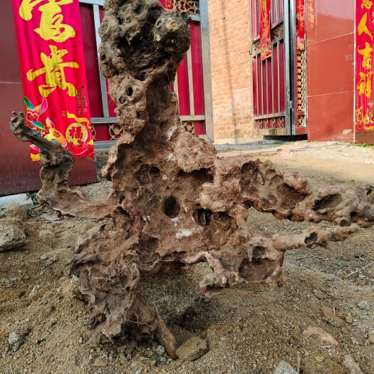 南召县黄荆桩 黄荆镂空老桩