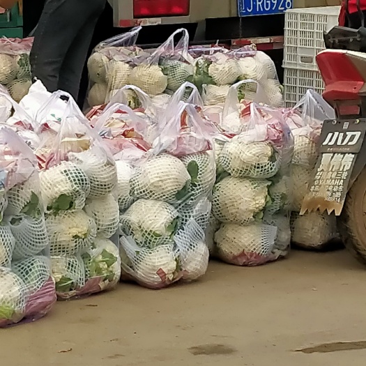 邯郸白花菜花 适中 河北省邯郸市永年区 1~2斤 