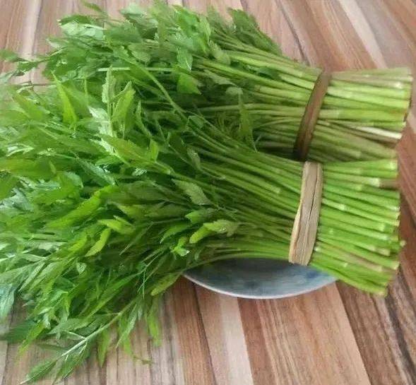 黎平县 水芹菜，贵州冷泉水0污染环境天然生长，非种植
