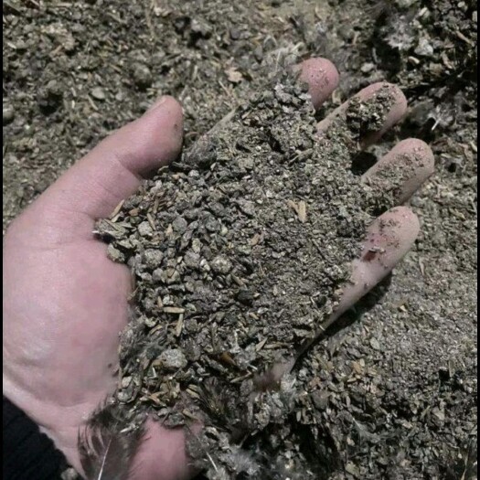 翁源县结块鸡粪，粉状鸡粪