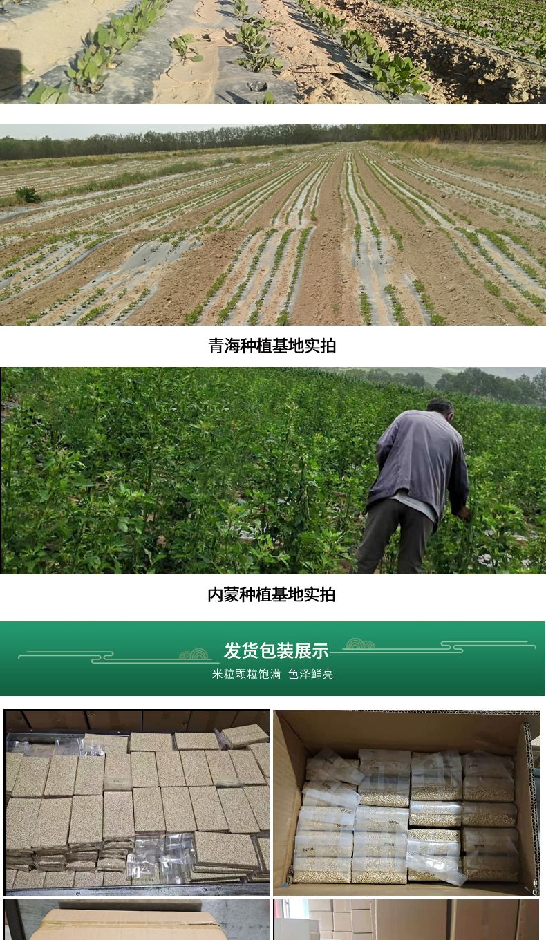 厂家直销批发红藜麦 500克真空米砖五谷杂粮辅食代餐