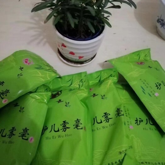 苏州大别山绿茶（碧螺春）清香可口！低价批发。