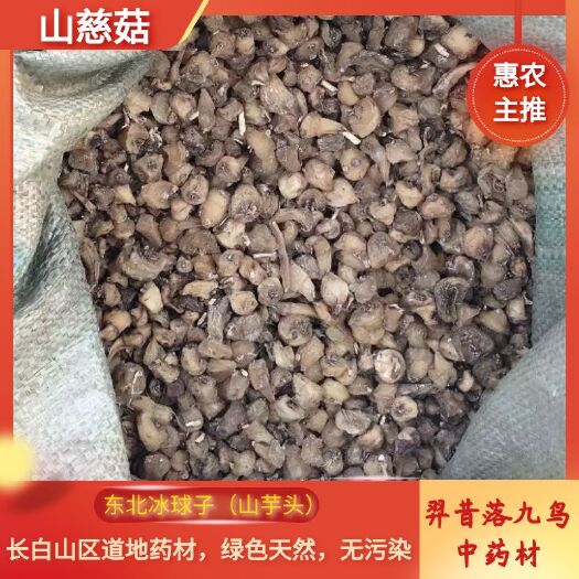山慈菇  东北冰球子（山芋头）